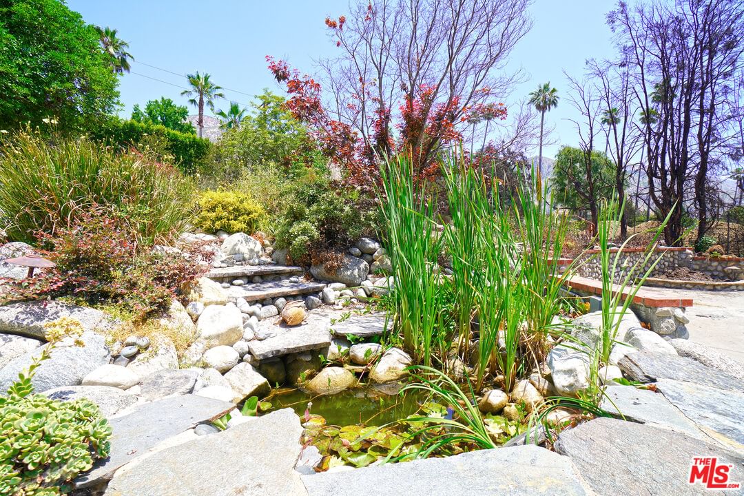 Homewood photo 11