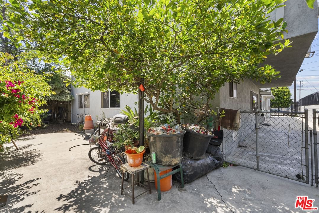 Valerio photo 20