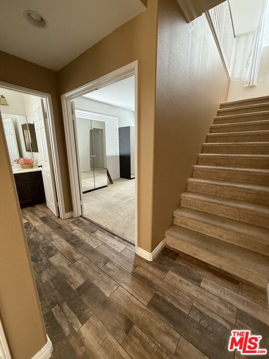 Park Vista photo 15