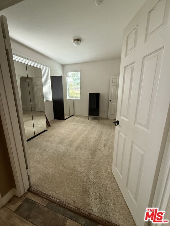 Park Vista photo 18