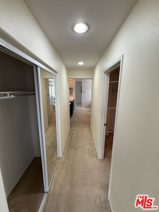 Park Vista photo 26