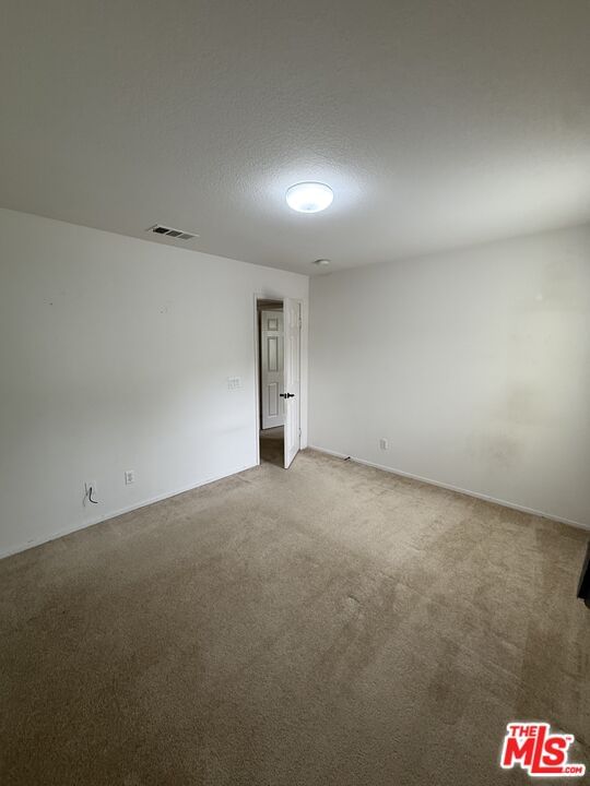 Park Vista photo 29