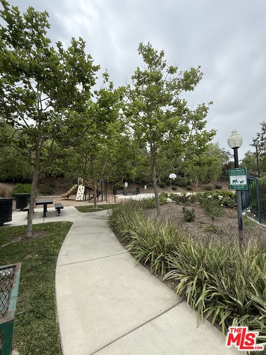 Park Vista photo 34