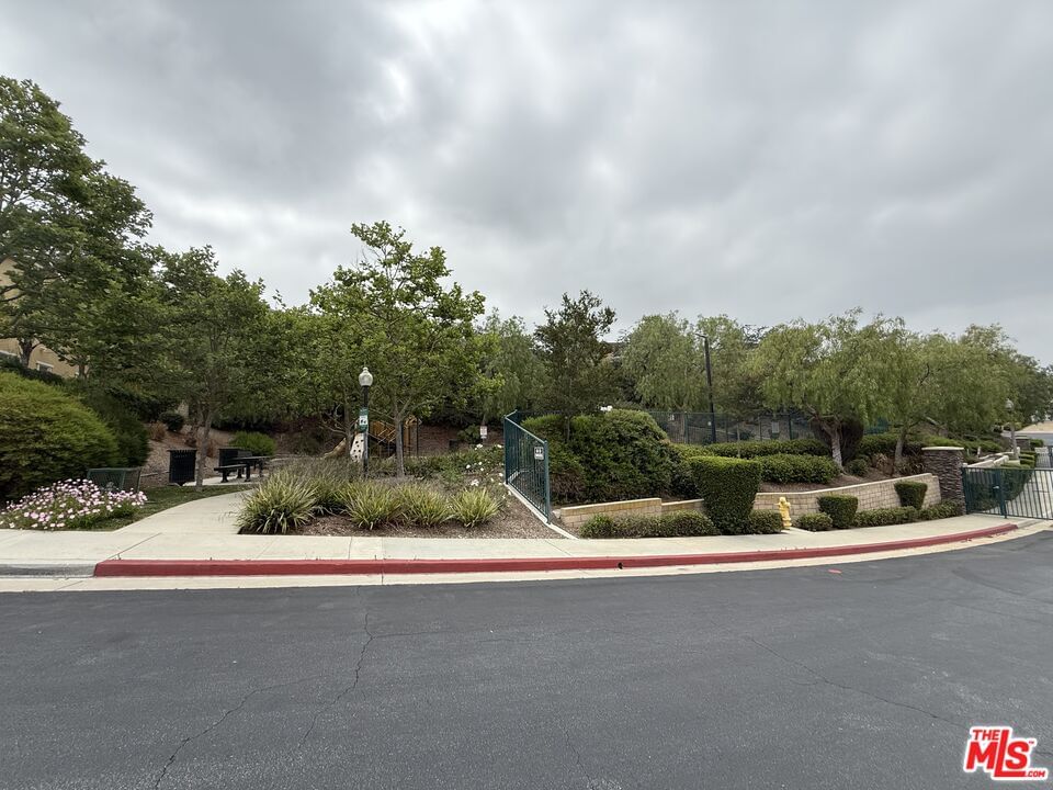 Park Vista photo 37