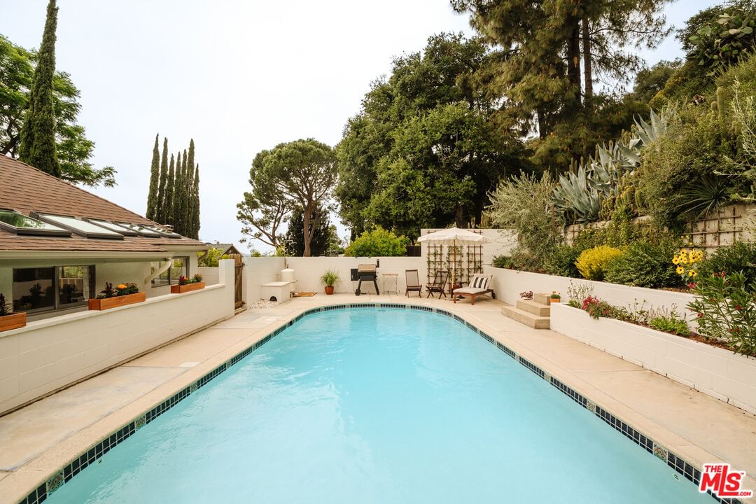 Tokay photo 44