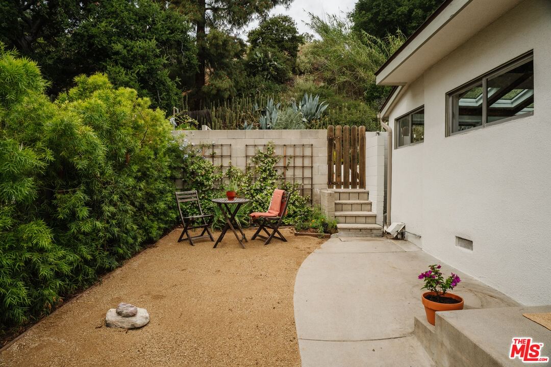 Tokay photo 47
