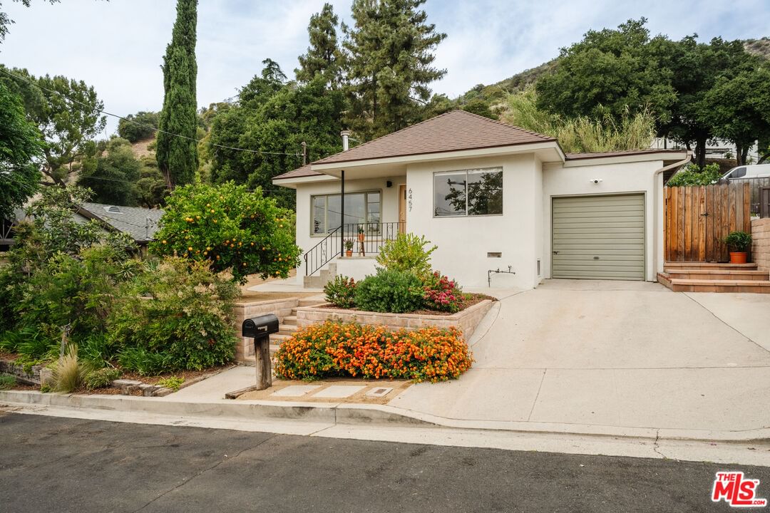 Tokay photo 52