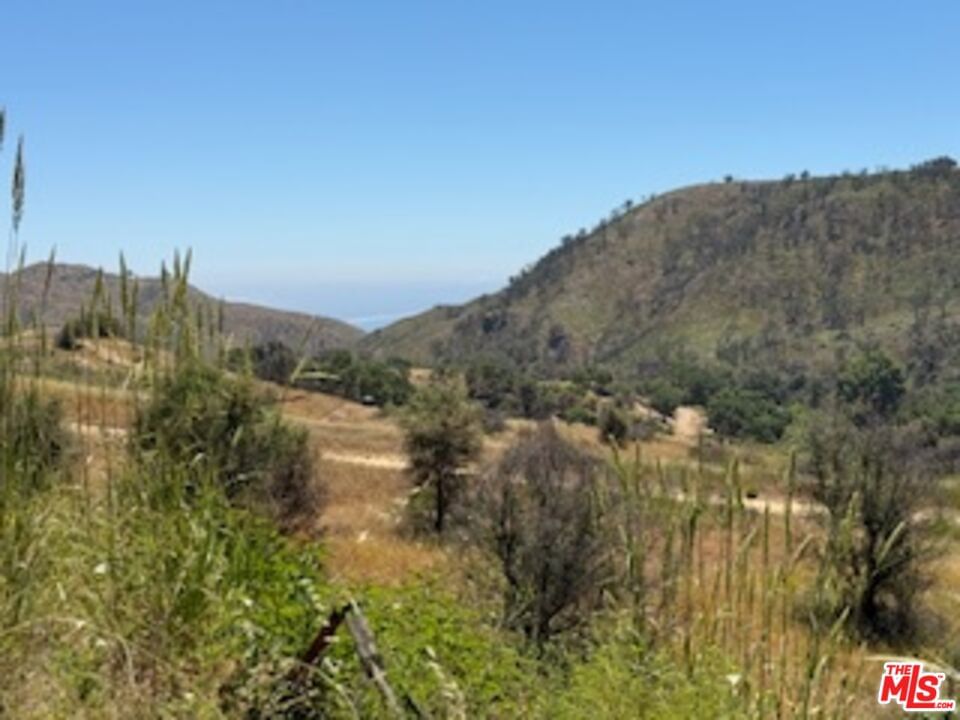 Tuna Canyon Rd photo 6