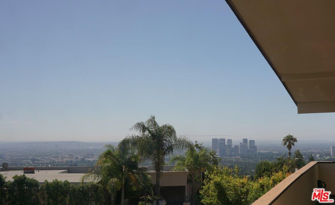 Laurel photo 7