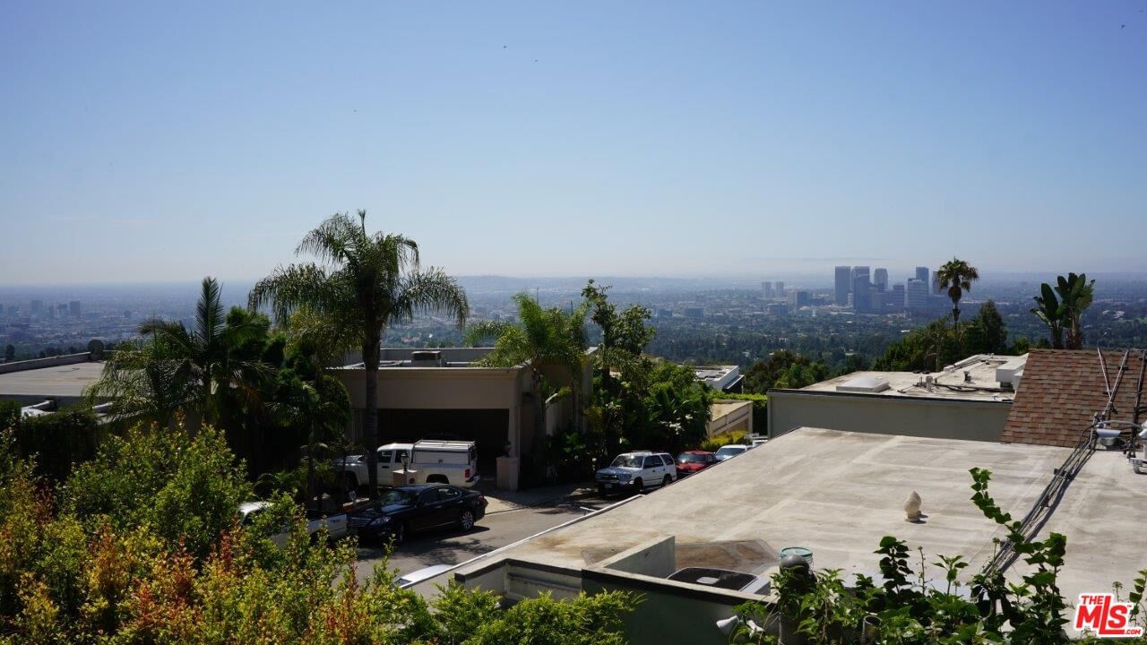 Laurel photo 9