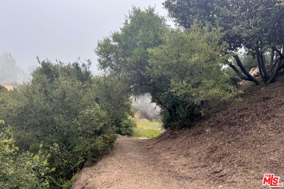 Loma Metisse photo 41