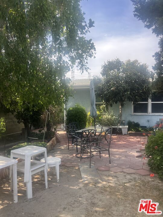 Kalisher photo 7