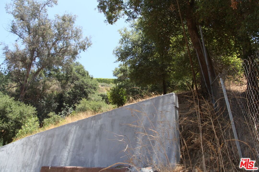 Benedict Canyon photo 14