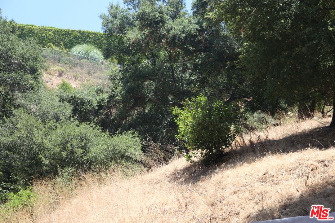 Benedict Canyon photo 20