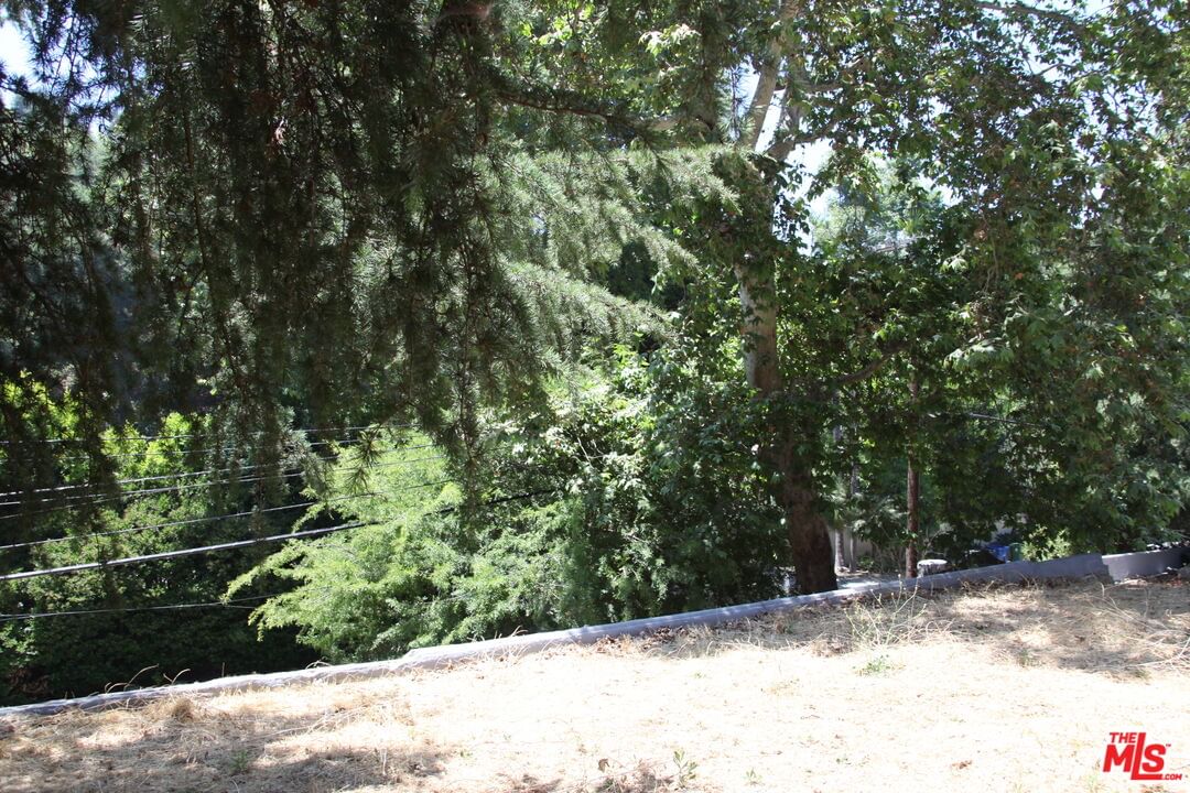 Benedict Canyon photo 22