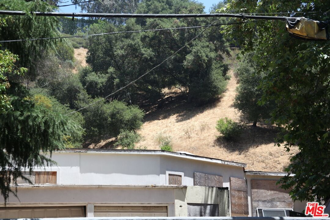 Benedict Canyon photo 26