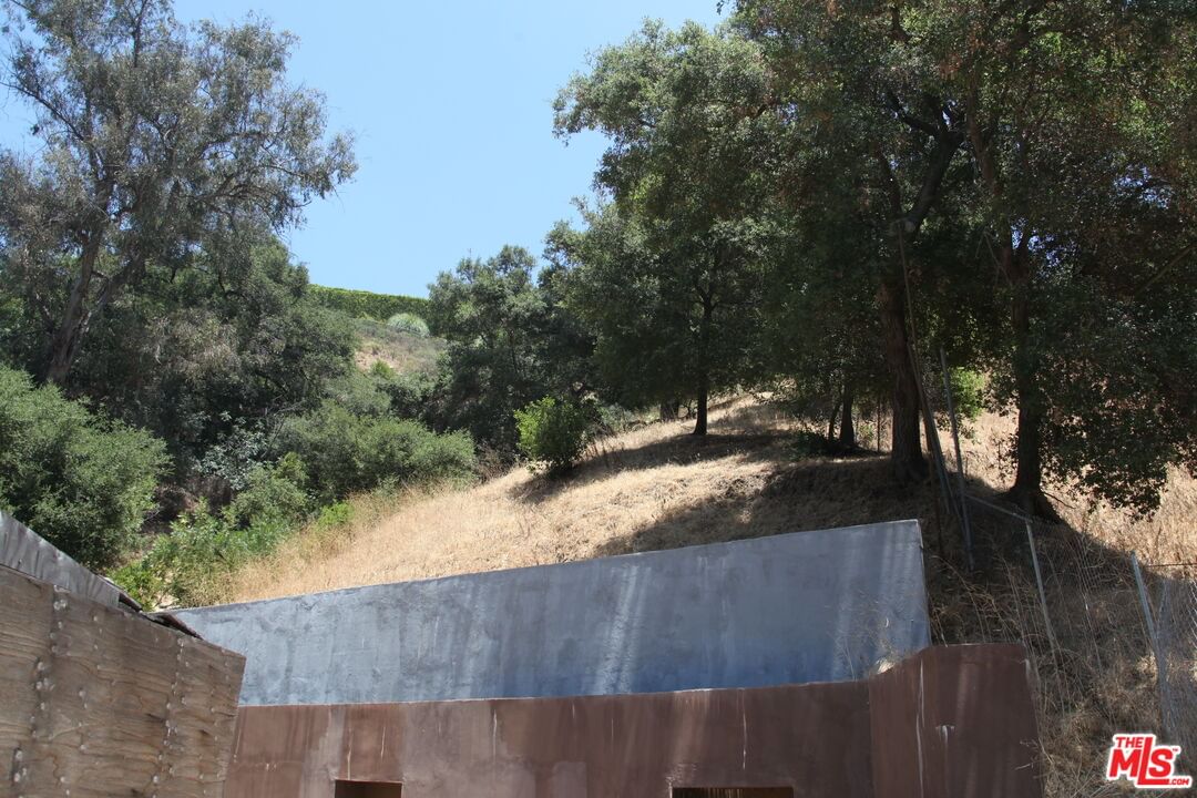 Benedict Canyon photo 9