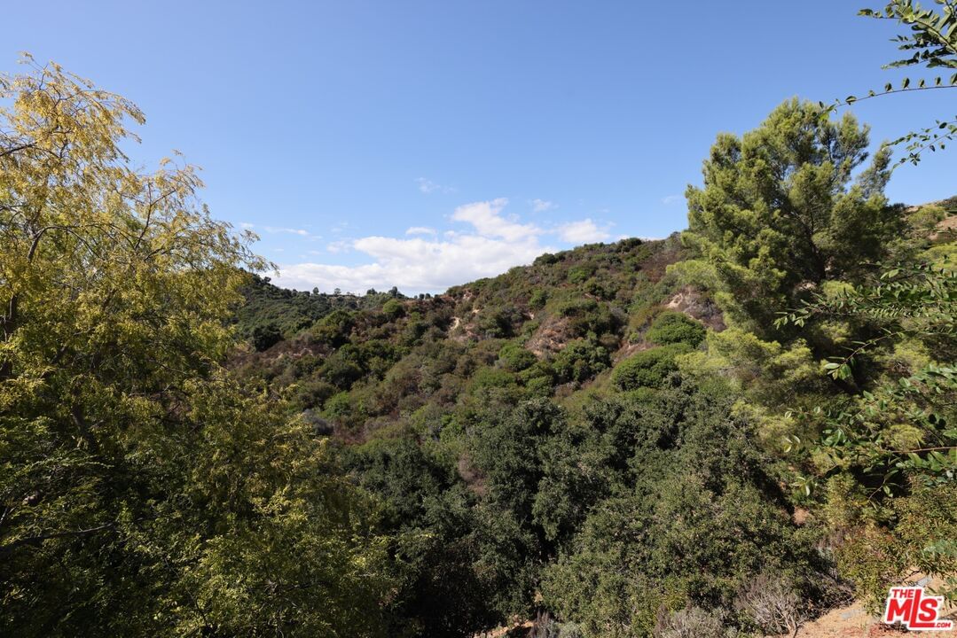 Lime Orchard photo 6