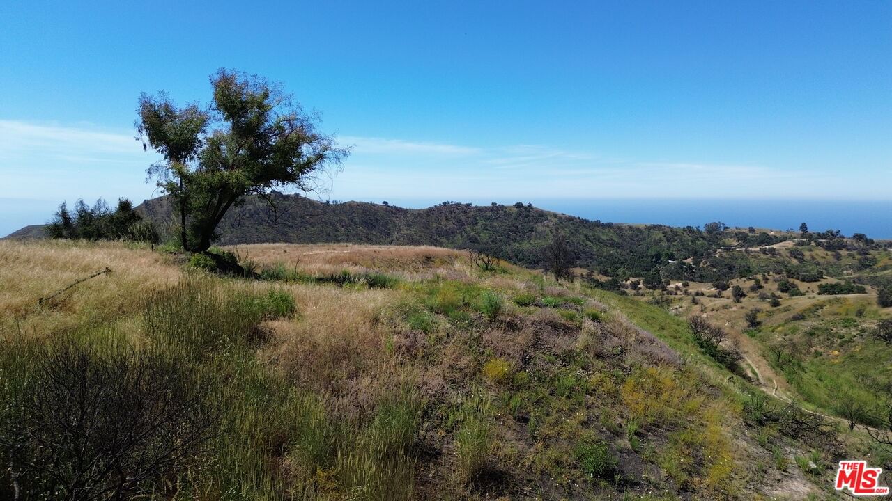Tuna Canyon photo 8