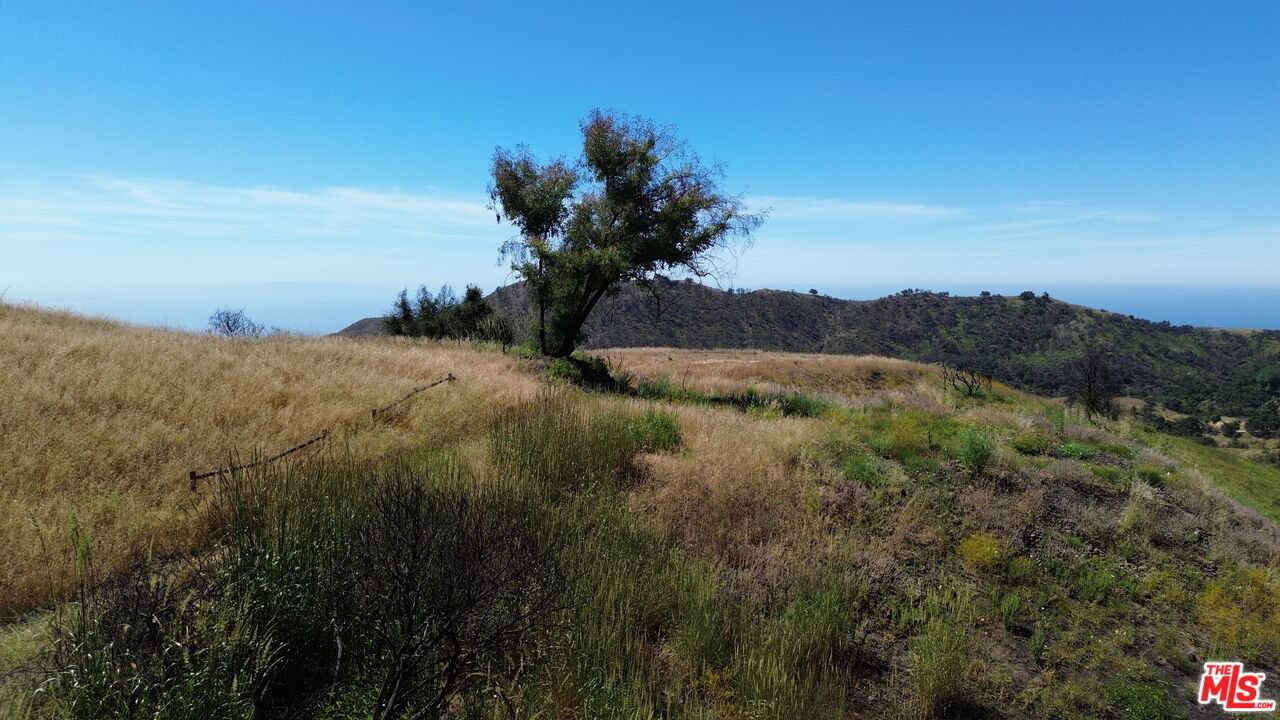 Tuna Canyon photo 9