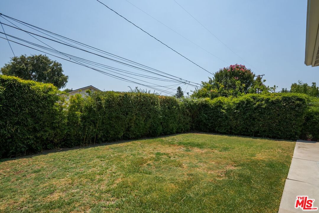 Weidermeyer photo 29