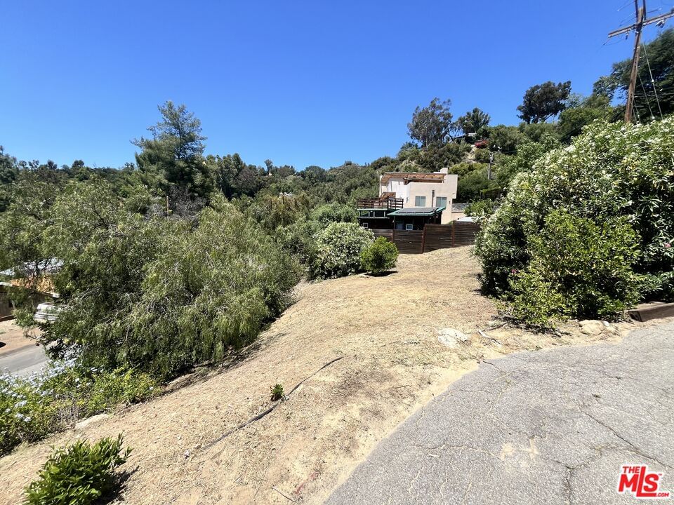 Topanga Skyline photo 23