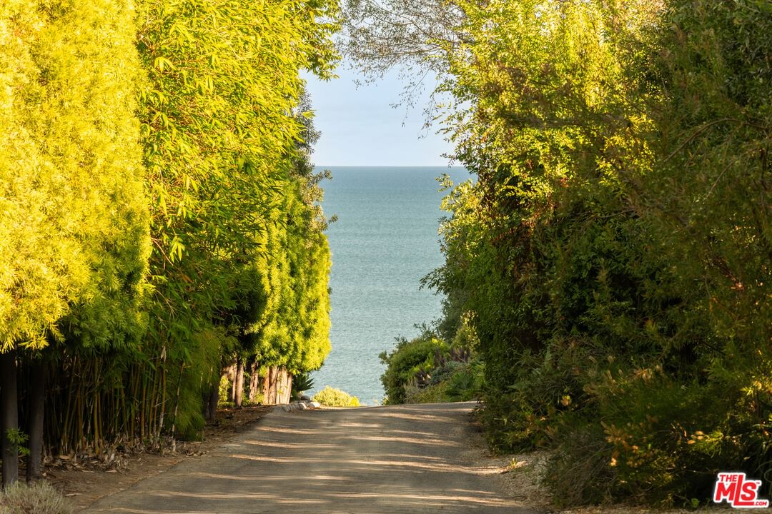 Sea Lane photo 21