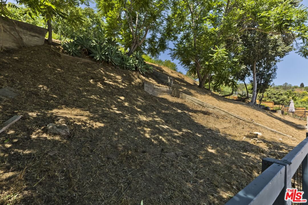 Amador photo 29