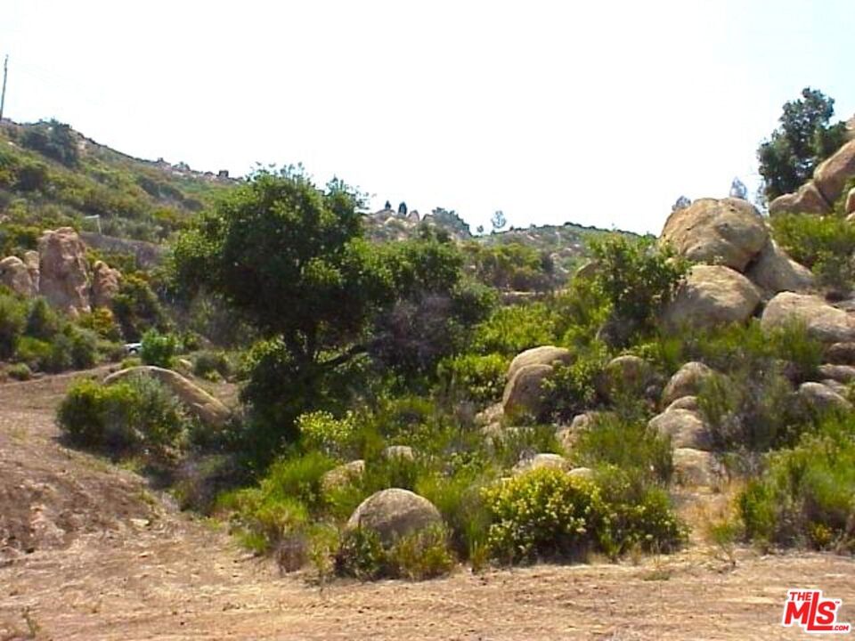 Piuma photo 11