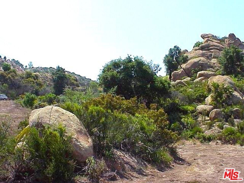 Piuma photo 12