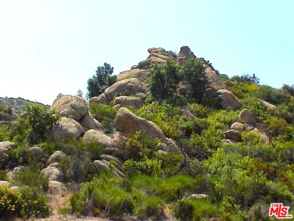 Piuma photo 13