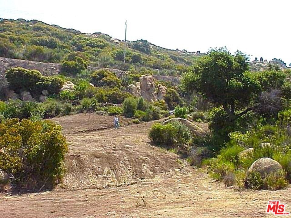Piuma photo 2