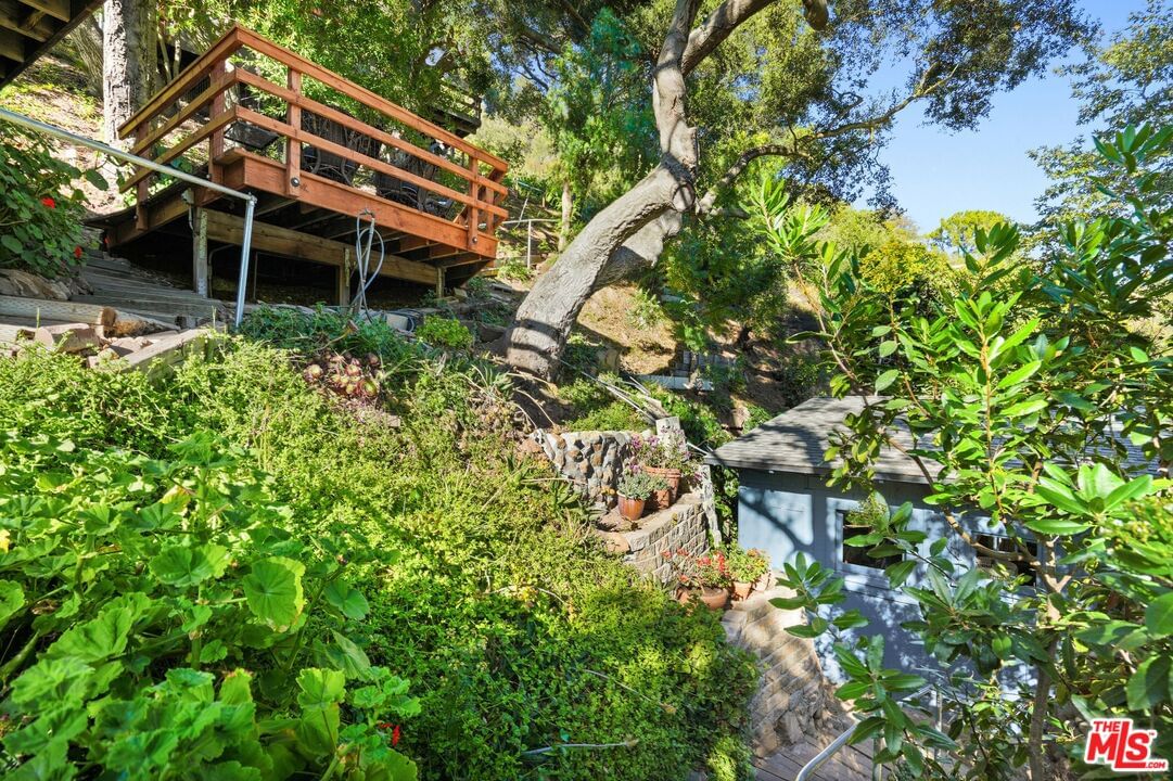 Old Topanga Canyon photo 30