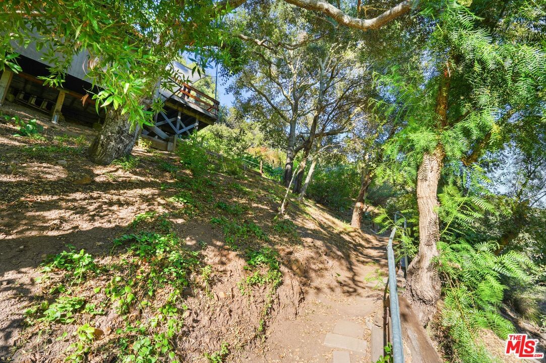 Old Topanga Canyon photo 47