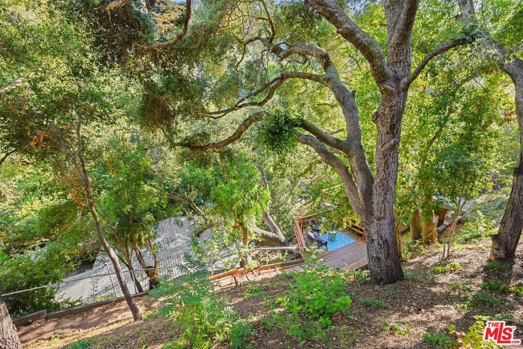 Old Topanga Canyon photo 50