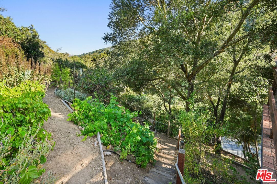 Old Topanga Canyon photo 53