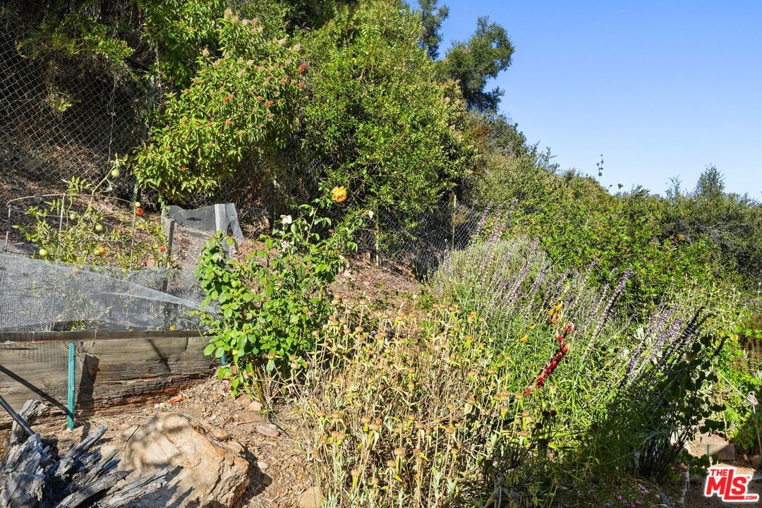 Old Topanga Canyon photo 67