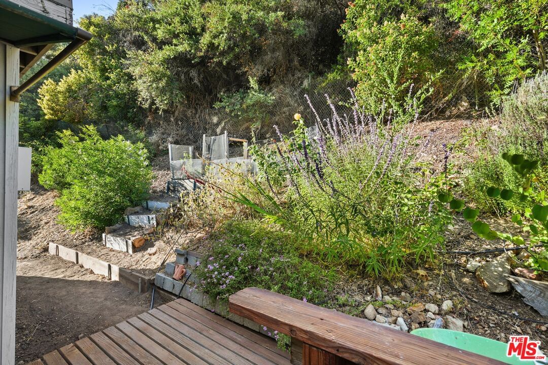 Old Topanga Canyon photo 68
