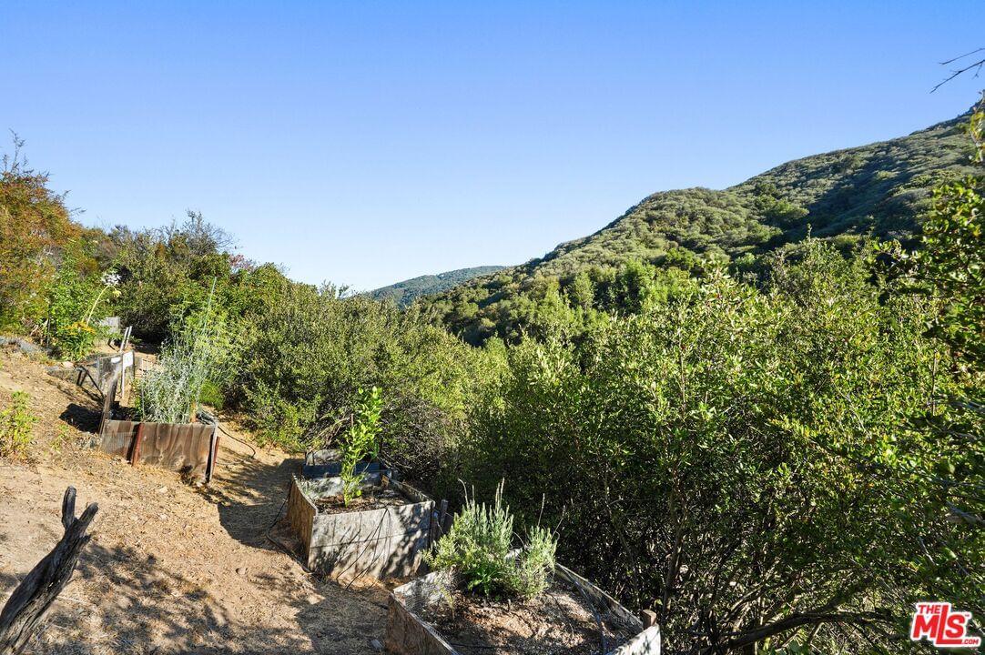 Old Topanga Canyon photo 69