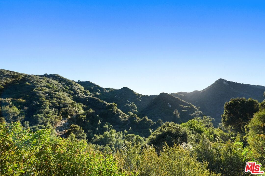 Old Topanga Canyon photo 70