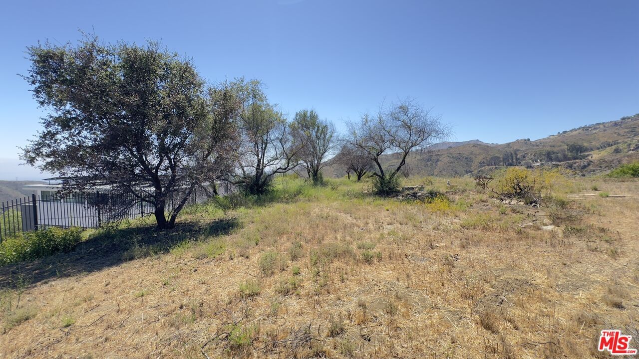 Tuna Canyon photo 11