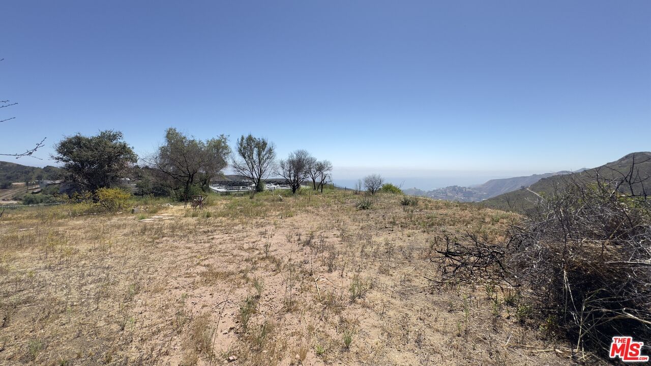 Tuna Canyon photo 13