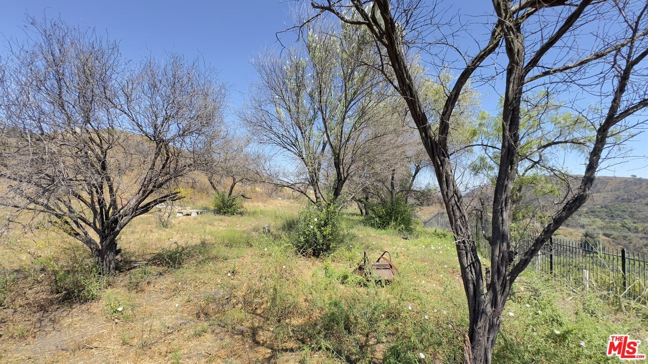 Tuna Canyon photo 16