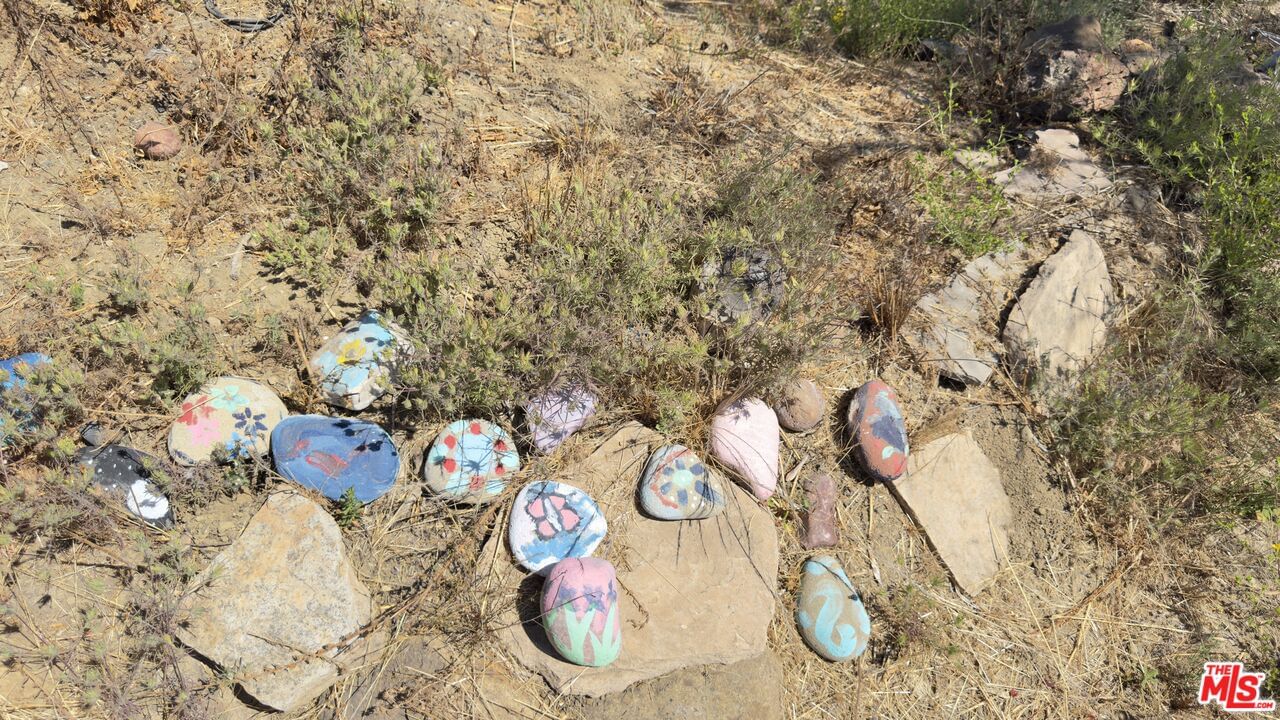 Tuna Canyon photo 19