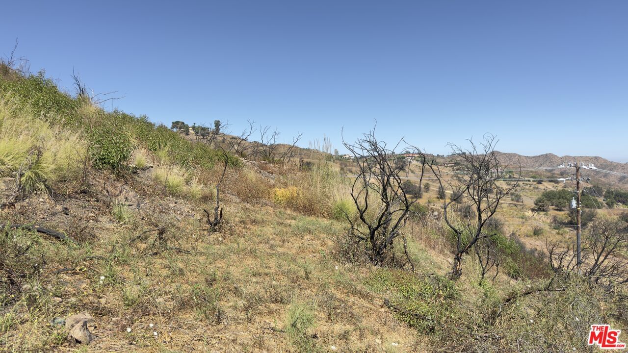 Tuna Canyon photo 22