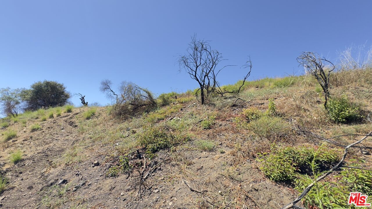 Tuna Canyon photo 24