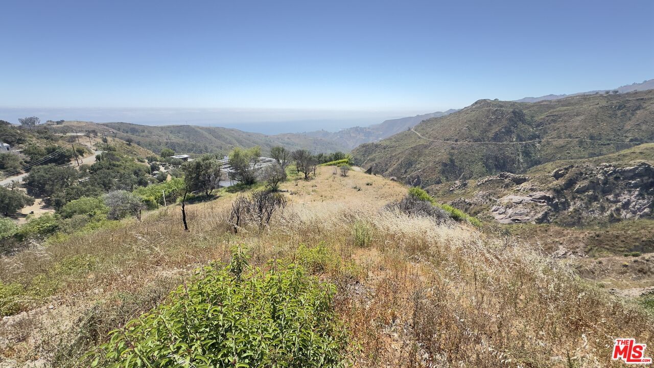 Tuna Canyon photo 7