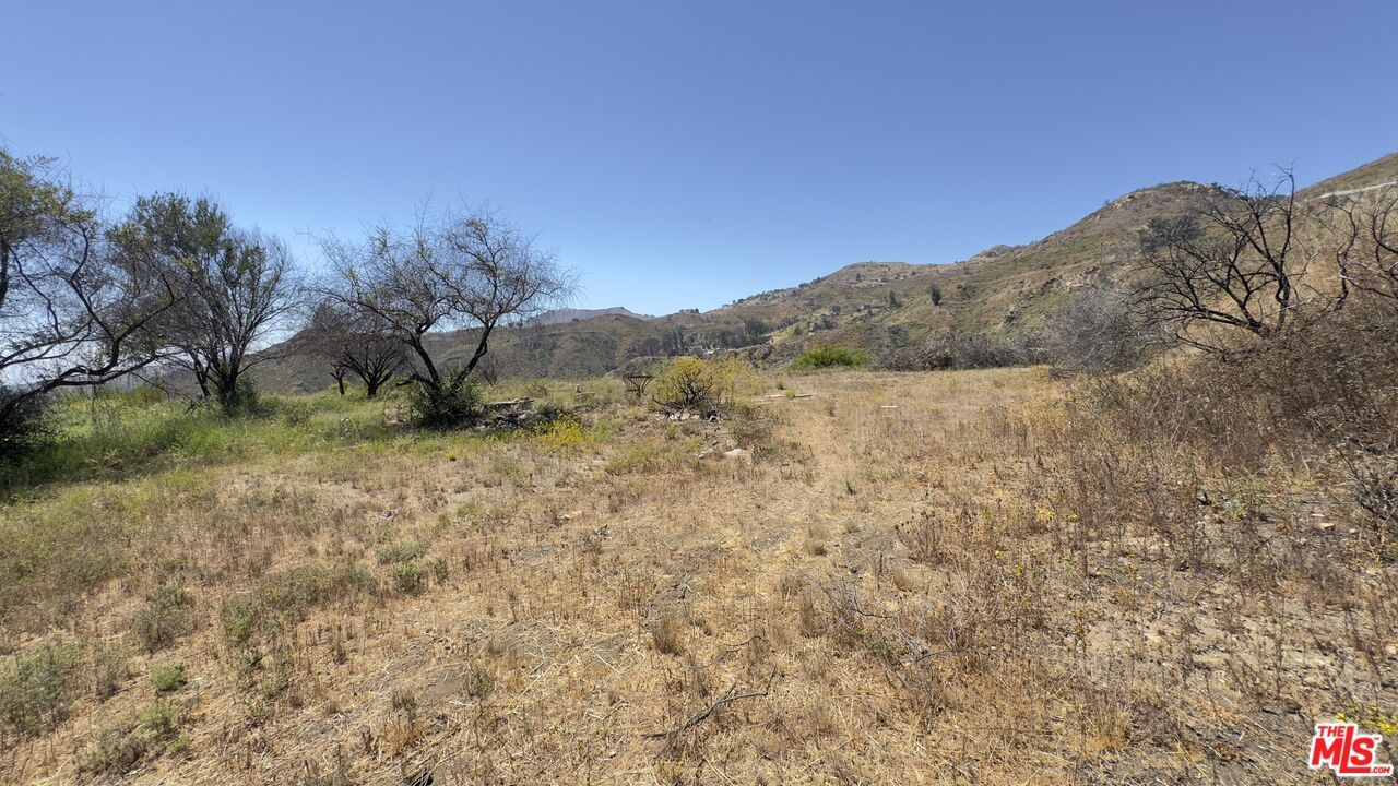 Tuna Canyon photo 10