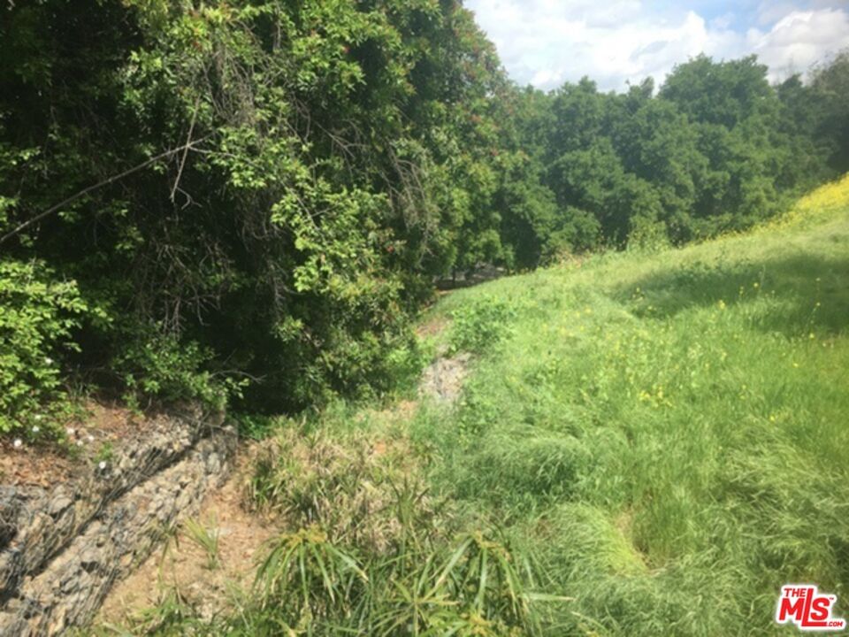 Aster Trail Rd. photo 1