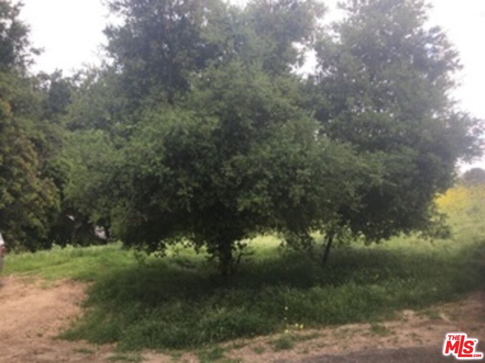 Aster Trail Rd. photo 2
